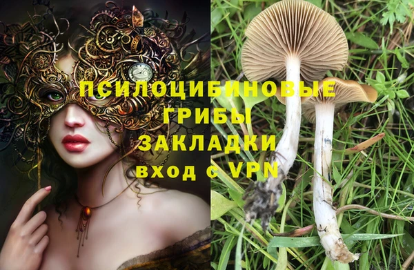 сатива Володарск