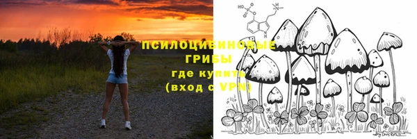 сатива Володарск