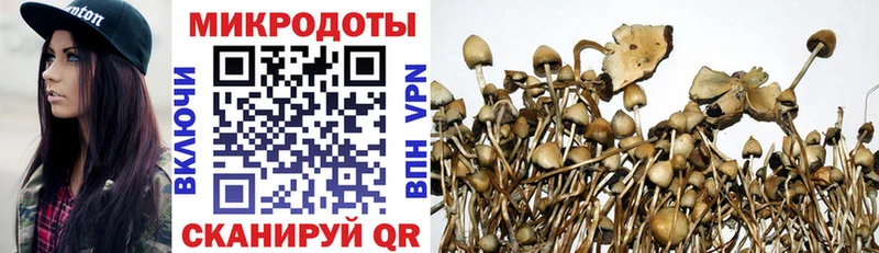 Псилоцибиновые грибы мухоморы omg зеркало Воткинск купить наркотик