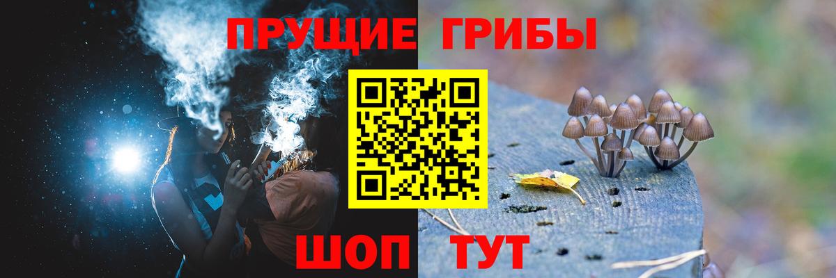 Псилоцибиновые грибы Magic Shrooms  Галлюциногенные грибы Psilocybe  Воткинск 